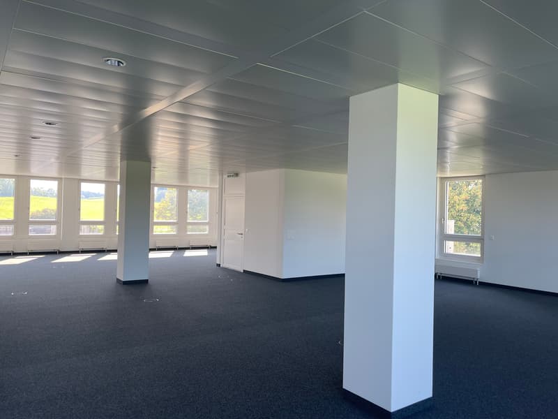 Representative business location with excellent connections in Sempach-Station (6)