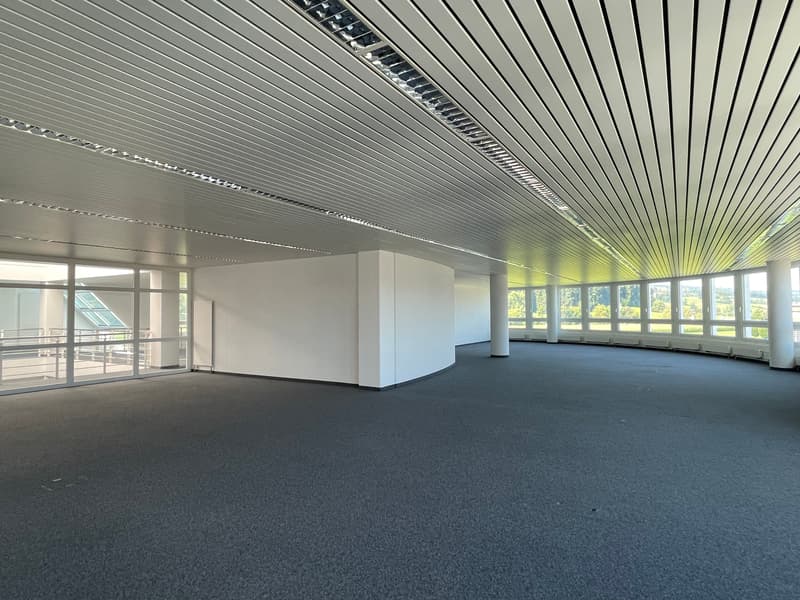 Representative business location with excellent connections in Sempach-Station (8)