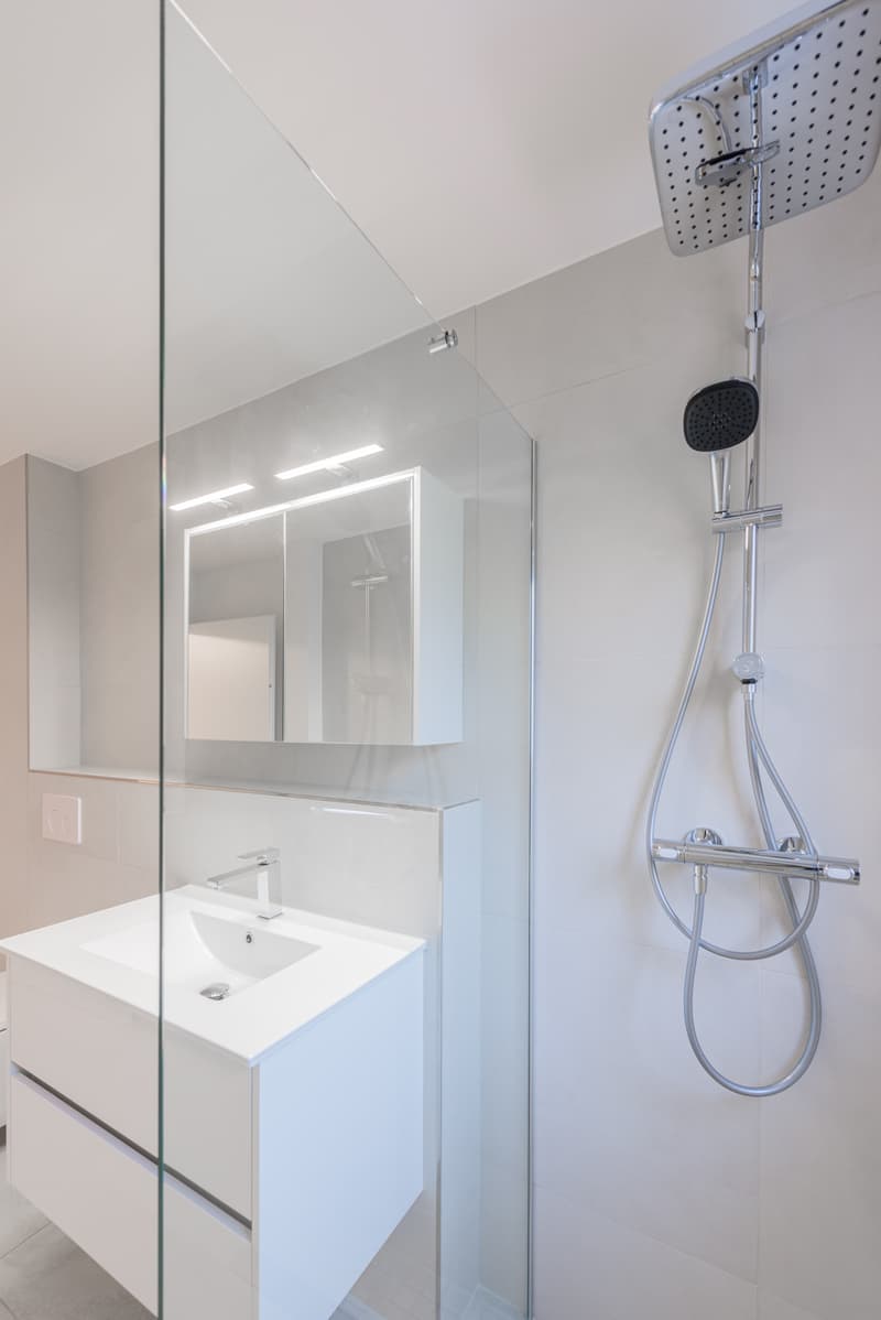 Charming 3-room apartment - completely renovated (3)