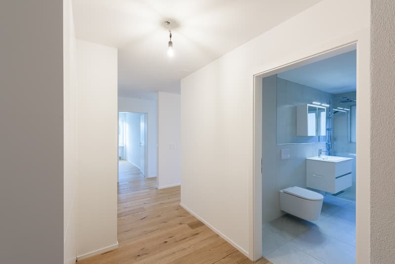 Charming 3-room apartment - completely renovated (6)