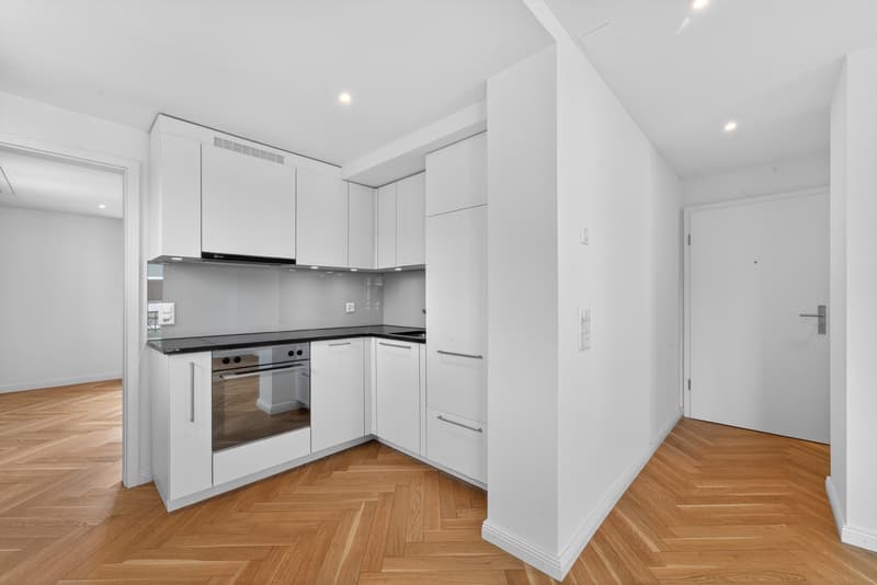 Appartement confortable dans le beau Hergiswil (4)