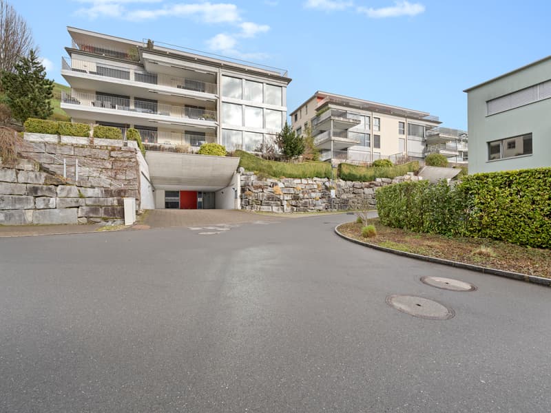 Living in an elevated location with lake and mountain views (1)