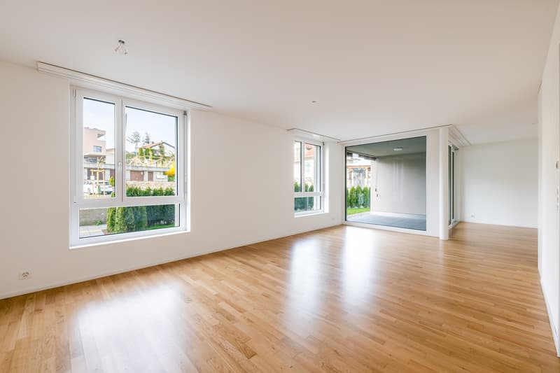 Bello appartamento moderno di 1,5 locali (2)