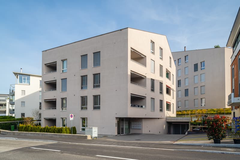 Bello appartamento moderno di 1,5 locali (9)