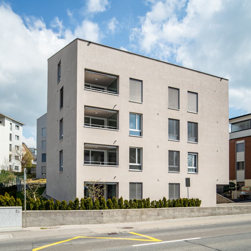 Bello appartamento moderno di 1,5 locali (8)