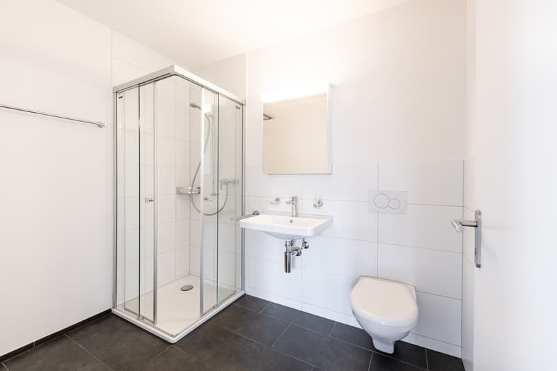 Bello appartamento moderno di 1,5 locali (5)