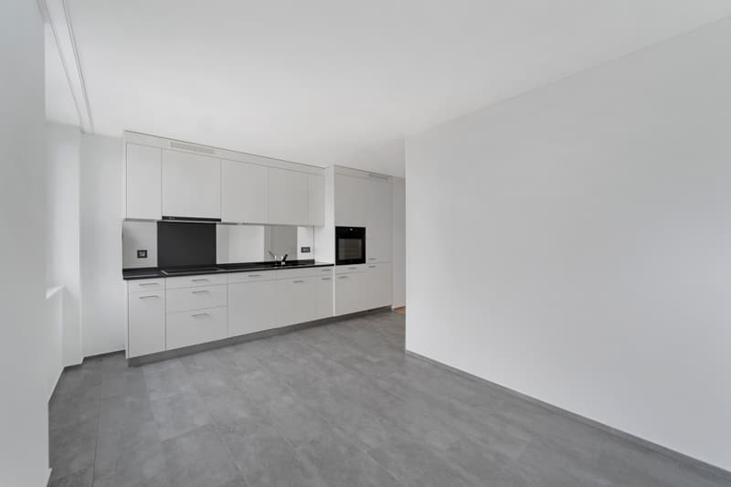Appartement spacieux avec équipement moderne (3)