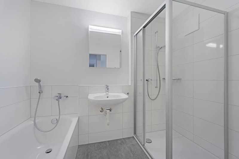 Appartement spacieux avec équipement moderne (8)