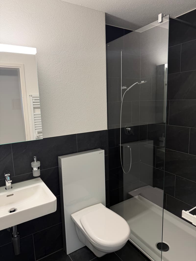 Modernes Wohnen in neuem Glanz (2)
