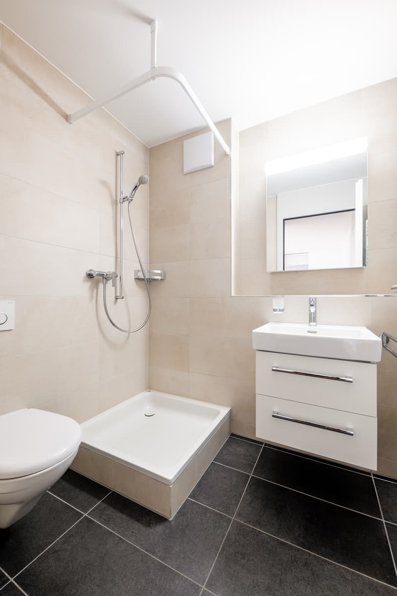 Geräumige 2.5 Zimmerwohnung (5)