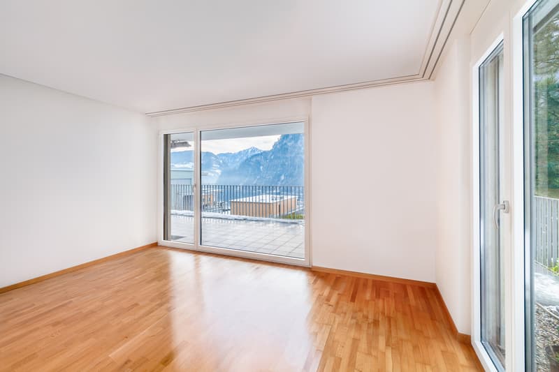 Leben an erhobener Lage mit See und Bergsicht (9)