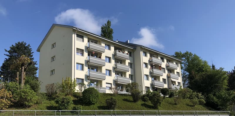 Wohnen mit Aussicht - 3.5 Zimmerwohnung zu vermieten (1)