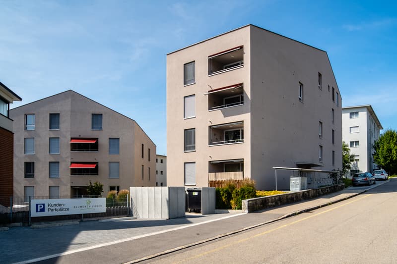 Schöne moderne 2.5 Zimmerwohnung (8)