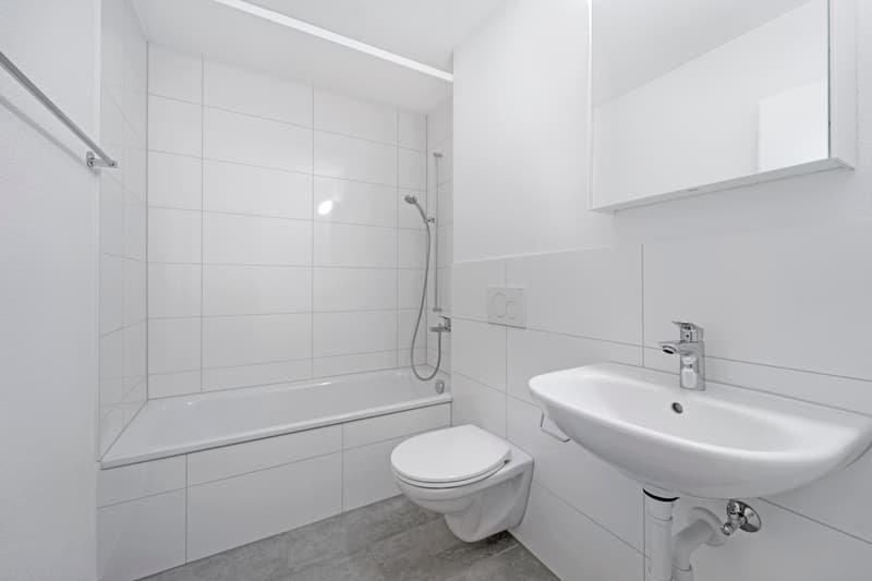 Moderne Wohnung im Herzen von Root (7)