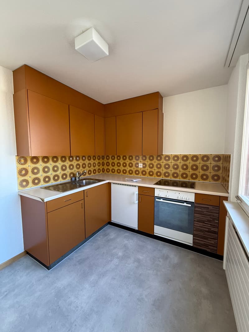 Wohnung Nähe Neubad (3)