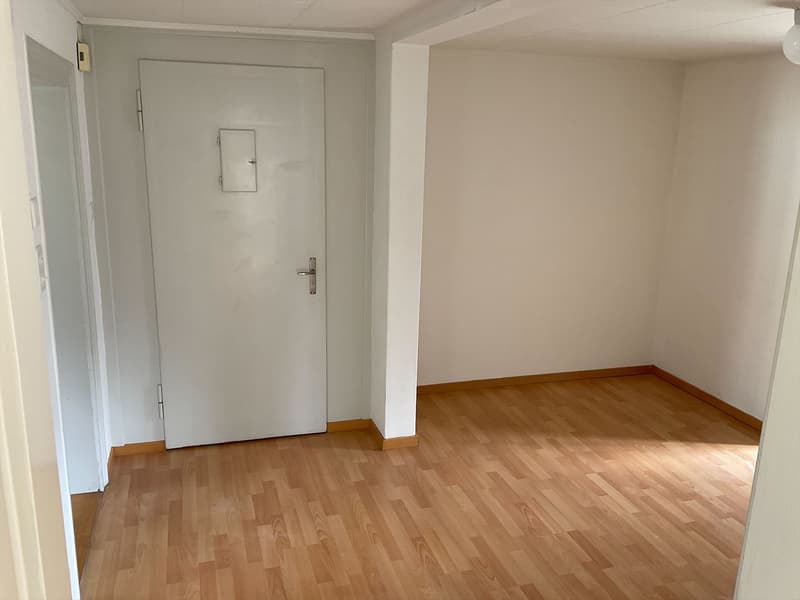 Gemütliche Wohnung im schönen Mossmatt-Quartier (3)