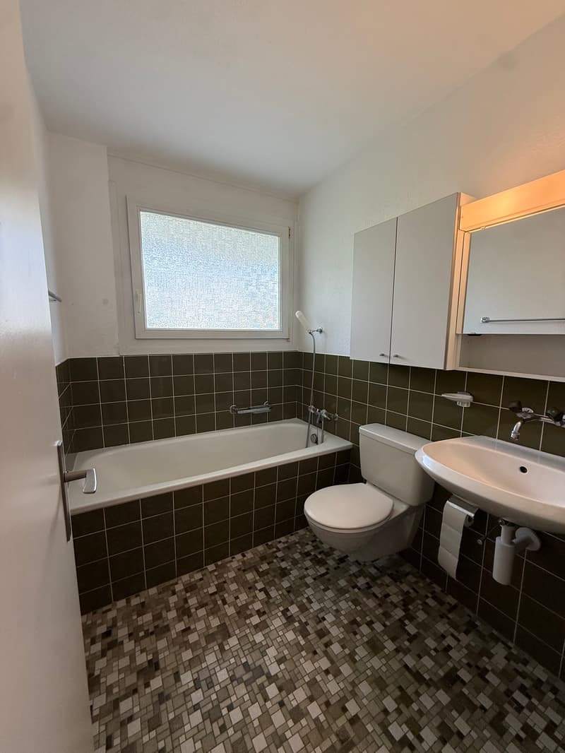 Helle Wohnung mit zwei Balkonen und schöner Aussicht in Kriens (7)