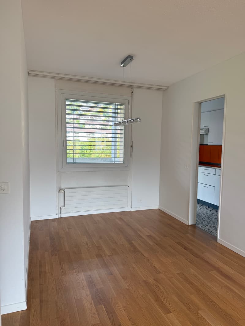 Helle Wohnung mit zwei Balkonen und schöner Aussicht in Kriens (6)