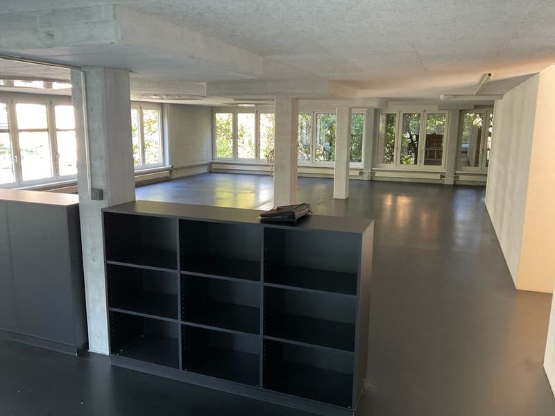 Attraktive Gewerbefläche an zentraler Lage in Luzern (2)