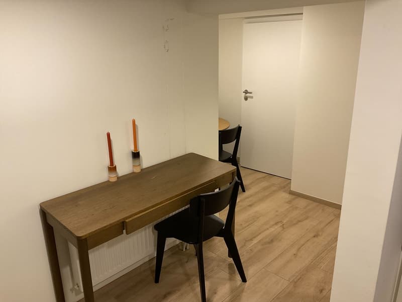 Schönes Atelier mitten in Hergiswil (3)