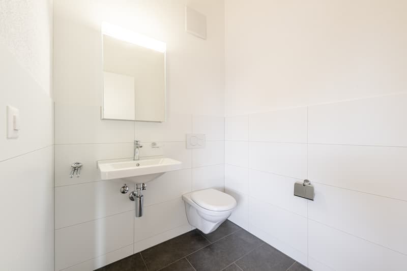 Exklusive Attika-Wohnung (8)