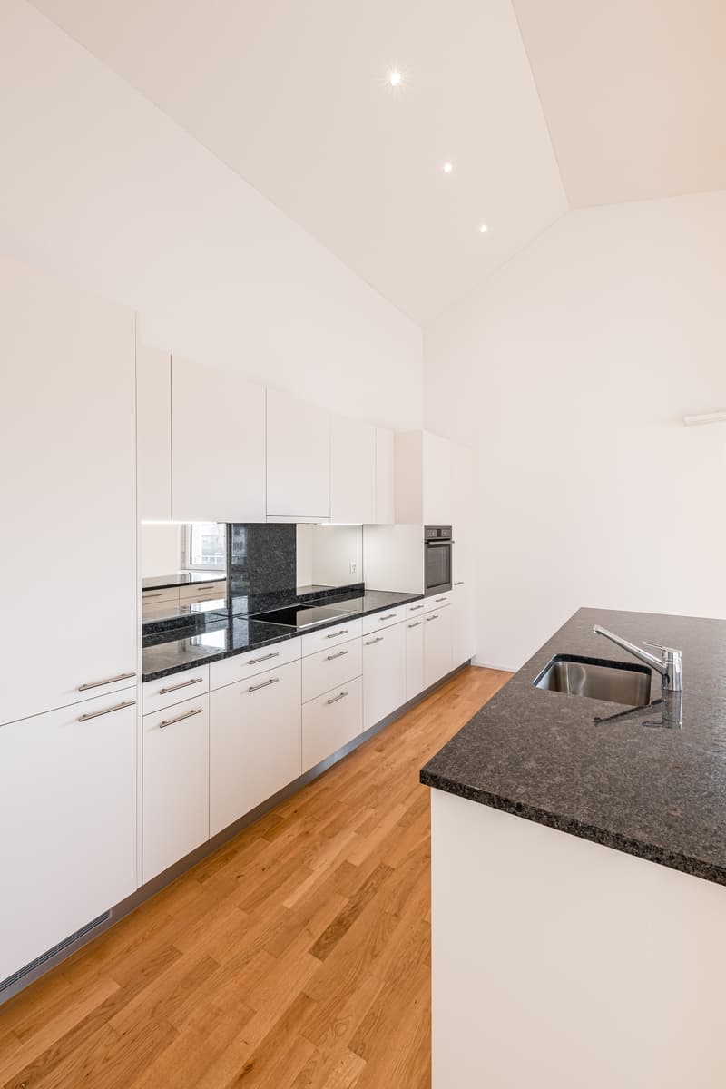 Exklusive Attika-Wohnung (3)