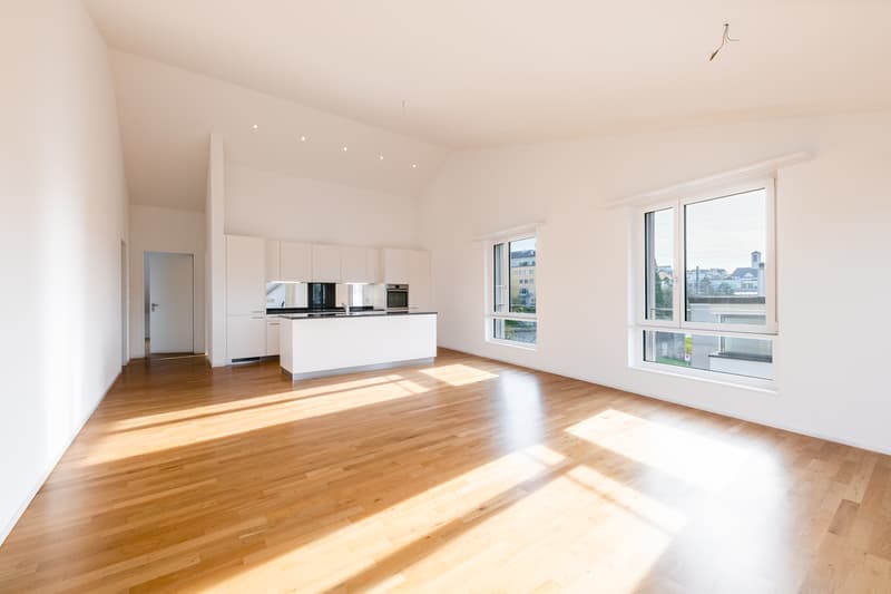 Exklusive Attika-Wohnung (1)