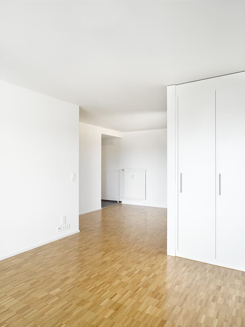Modern 2.5-room apartment with city view in Bern (3)