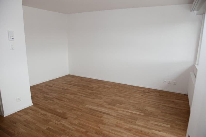 Charmant appartement 1 pièce avec balcon à Wabern (3)