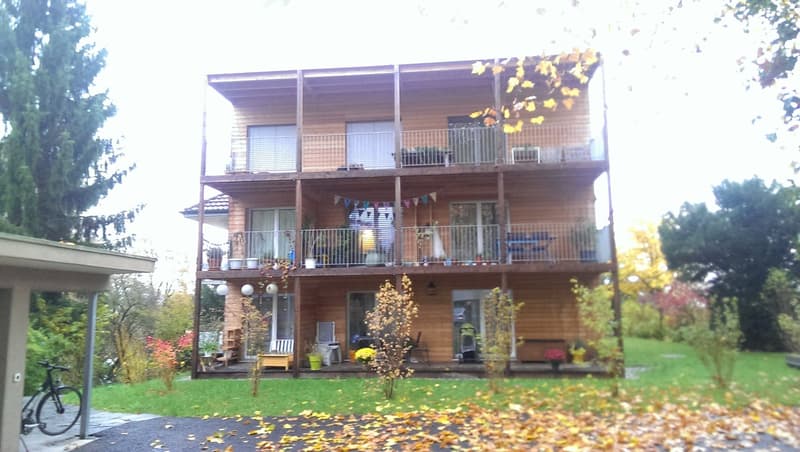 Charmant appartement 1 pièce avec balcon à Wabern (1)