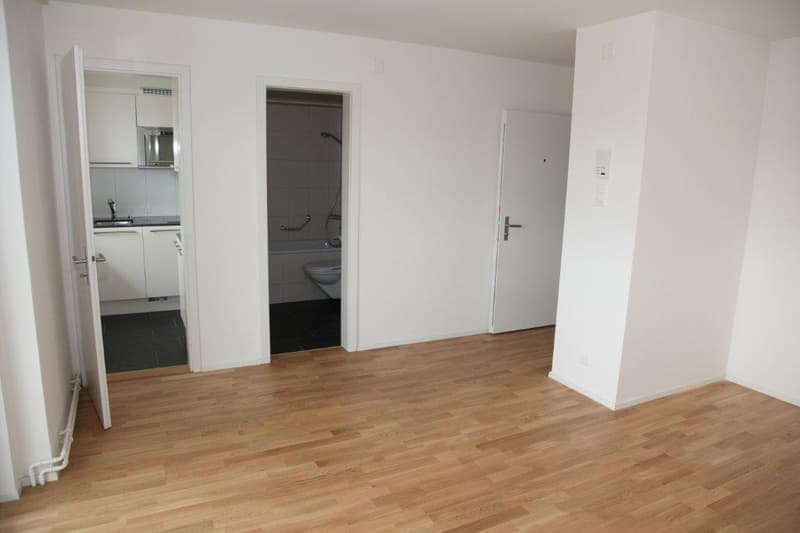 Charmant appartement 1 pièce avec balcon à Wabern (2)
