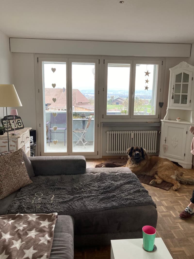 Incantevole appartamento di 4 locali con balcone in una zona tranquilla di Gerolfingen (6)