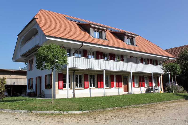 Incantevole appartamento di 4,5 locali con balcone a Radelfingen (1)