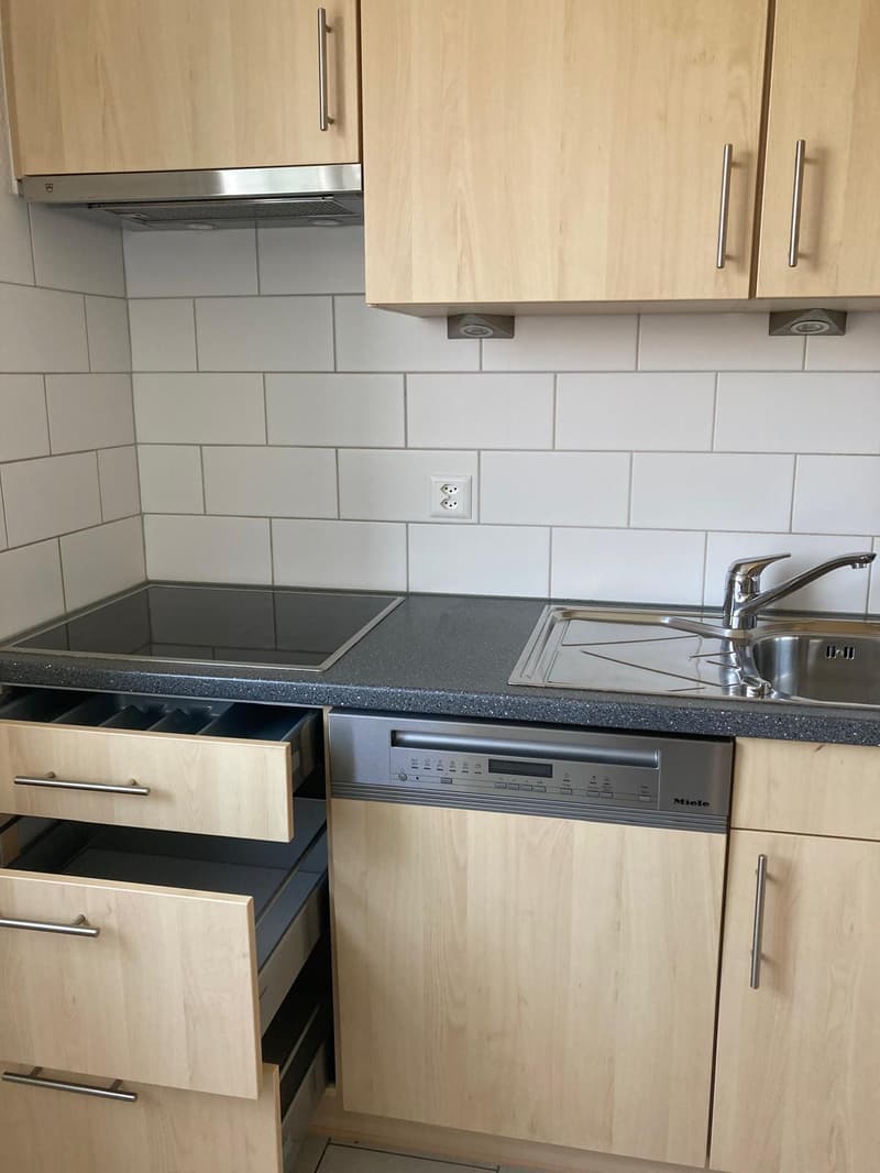 Charmant appartement 4 pièces avec balcon dans un quartier calme de Gerolfingen (3)