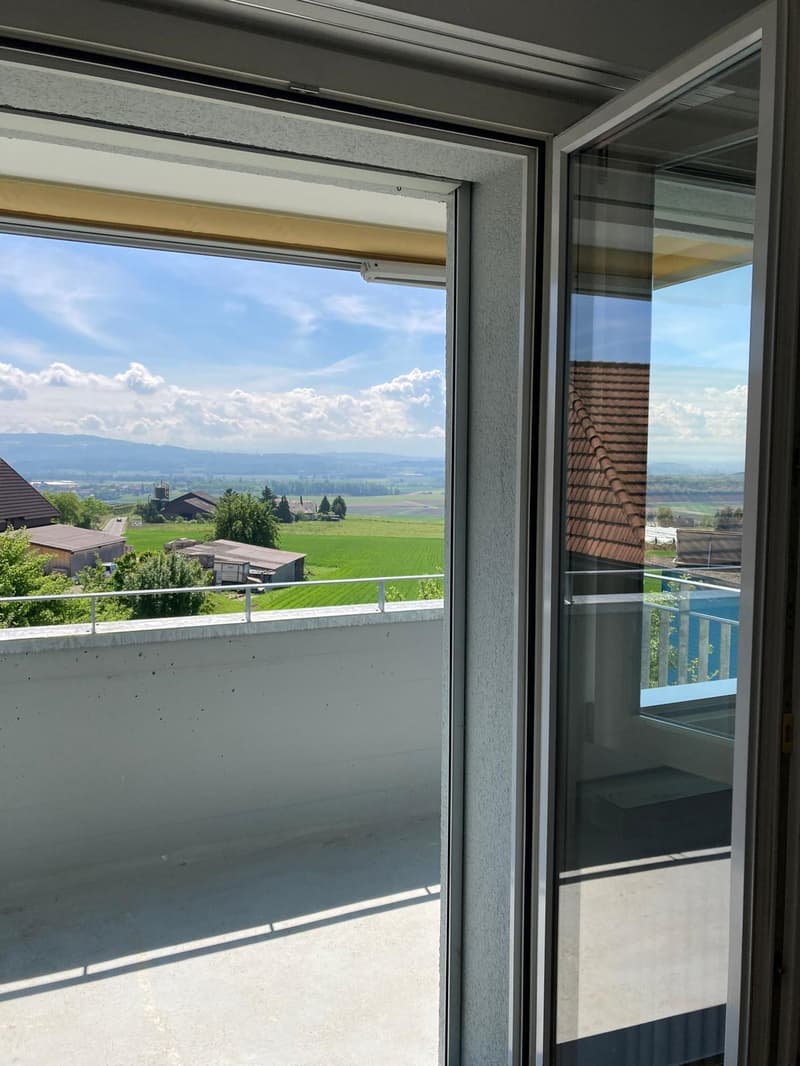 Charmant appartement 4 pièces avec balcon dans un quartier calme de Gerolfingen (5)
