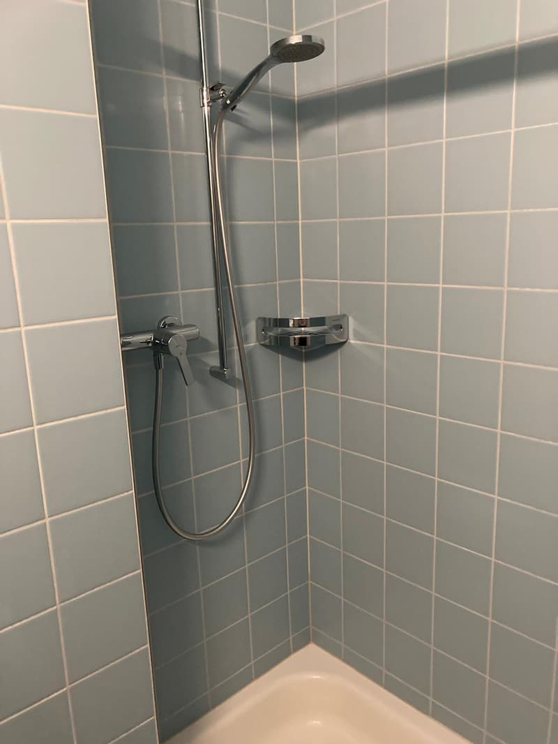 Charmant appartement 4 pièces avec balcon dans un quartier calme de Gerolfingen (7)