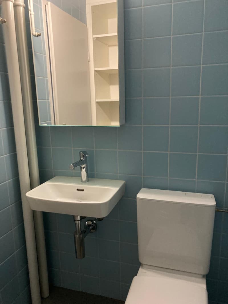 Charmant appartement 4 pièces avec balcon dans un quartier calme de Gerolfingen (6)