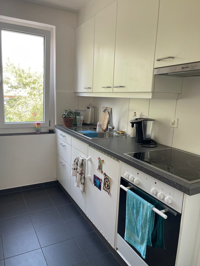 Charmante 3-Zimmerwohnung in ruhiger Lage in Brügg BE (6)