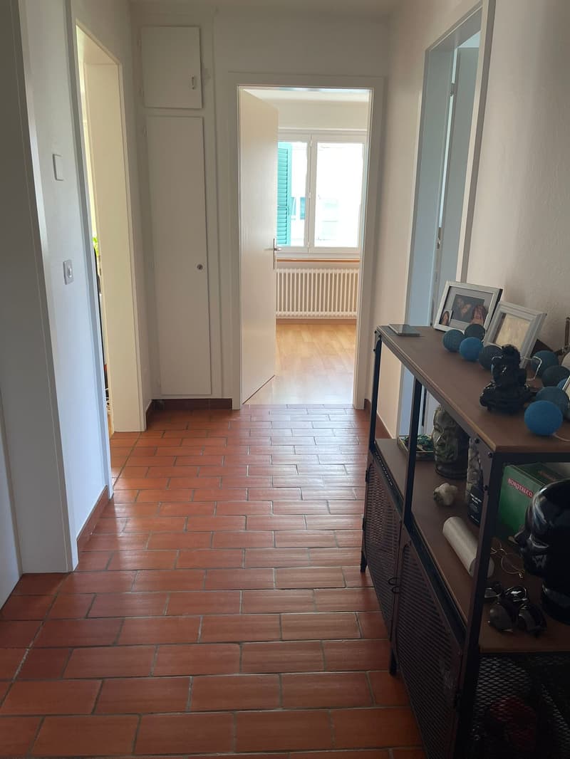 Charmante 3-Zimmerwohnung in ruhiger Lage in Brügg BE (2)