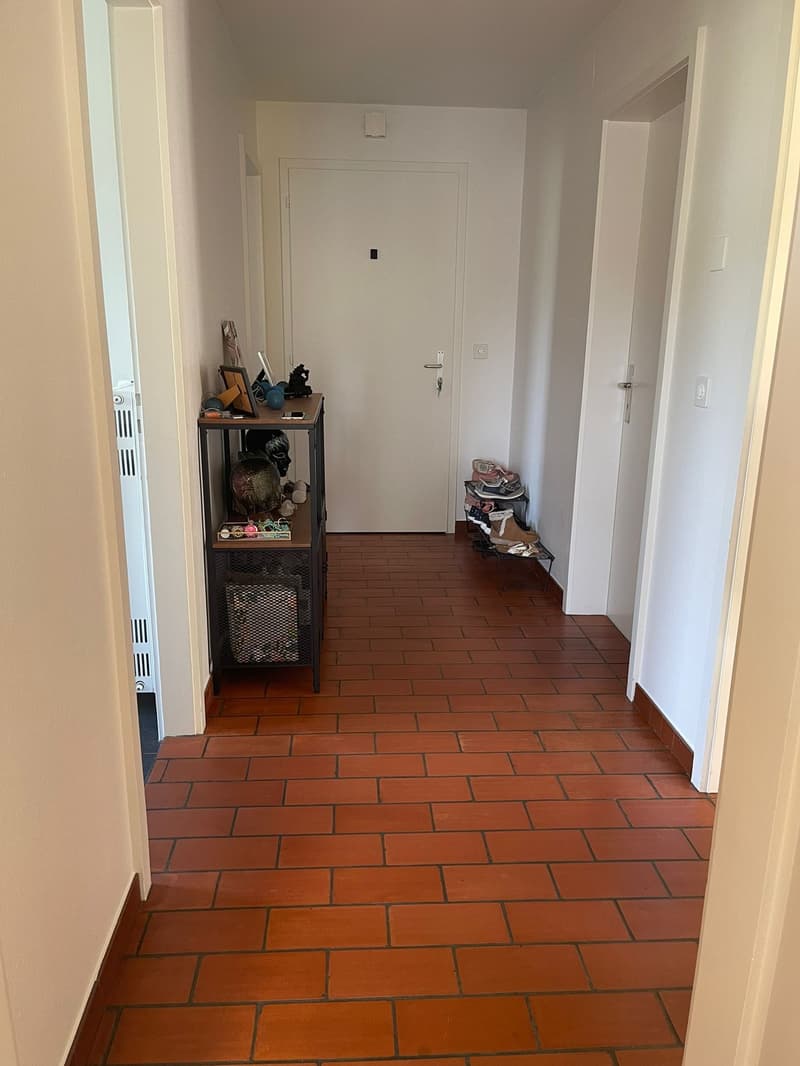 Incantevole appartamento di 3 camere in una zona tranquilla a Brügg BE (3)