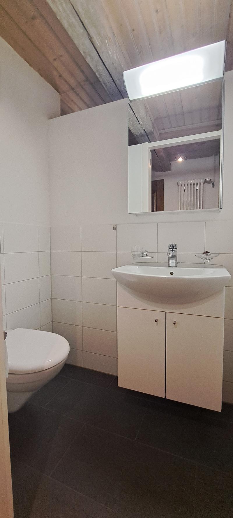 Charming attic apartment in the heart of Bern (7)