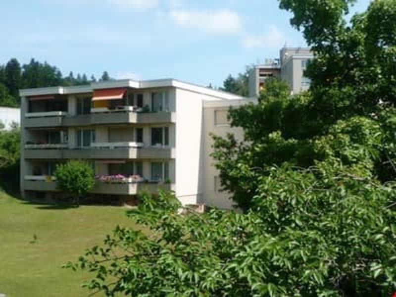 Vivere nel verde e vicino alla città - appartamento 4,5 locali a Thörishaus (1)