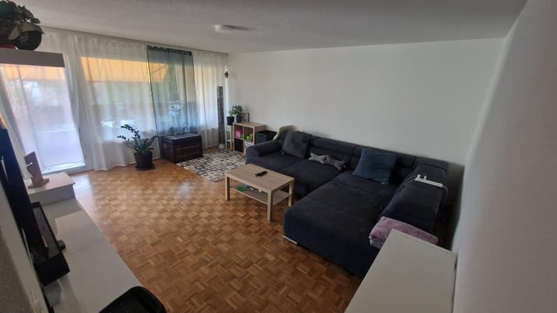 Vivere nel verde e vicino alla città - appartamento 4,5 locali a Thörishaus (3)