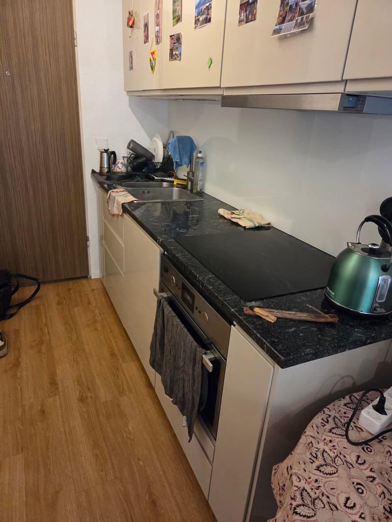 teil möbliertes charmantes Studio in ruhiger Lage zu vermieten (3)