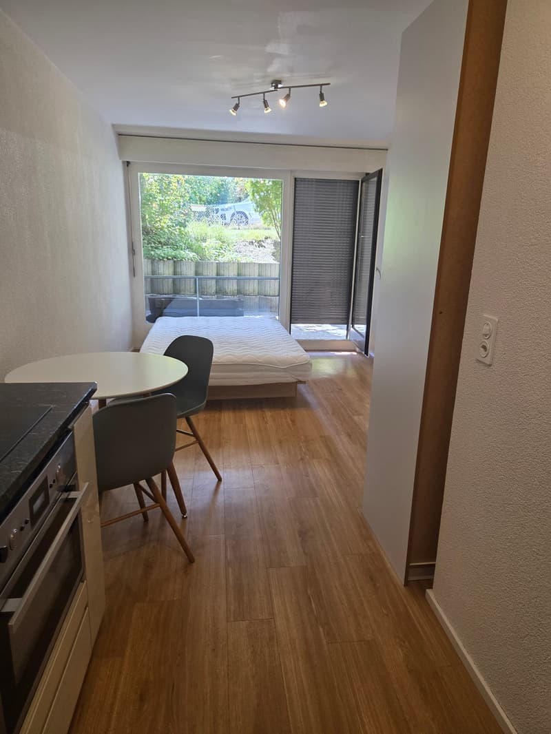 teil möbliertes charmantes Studio in ruhiger Lage zu vermieten (4)
