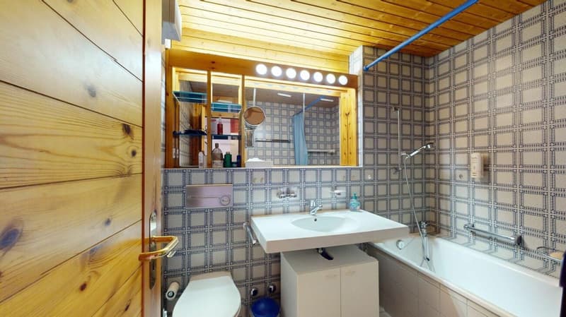 Kleine Ferienwohnung mitten im Dorfzentrum (10)