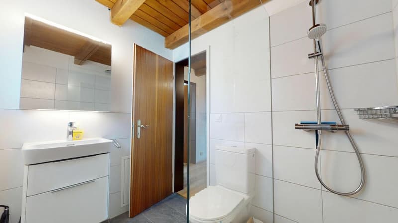 Appartamento mansardato 3 camere (9)