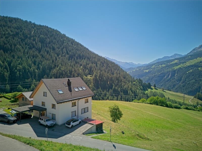 Beautiful 2.5 room holiday apartment (12)