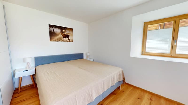 Beautiful 2.5 room holiday apartment (5)