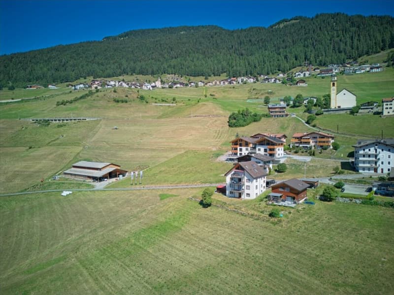 Beautiful 2.5 room holiday apartment (14)